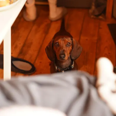 Tiny Glamp - Kontejner Pod Pradedem * Rudna pod Pradedem